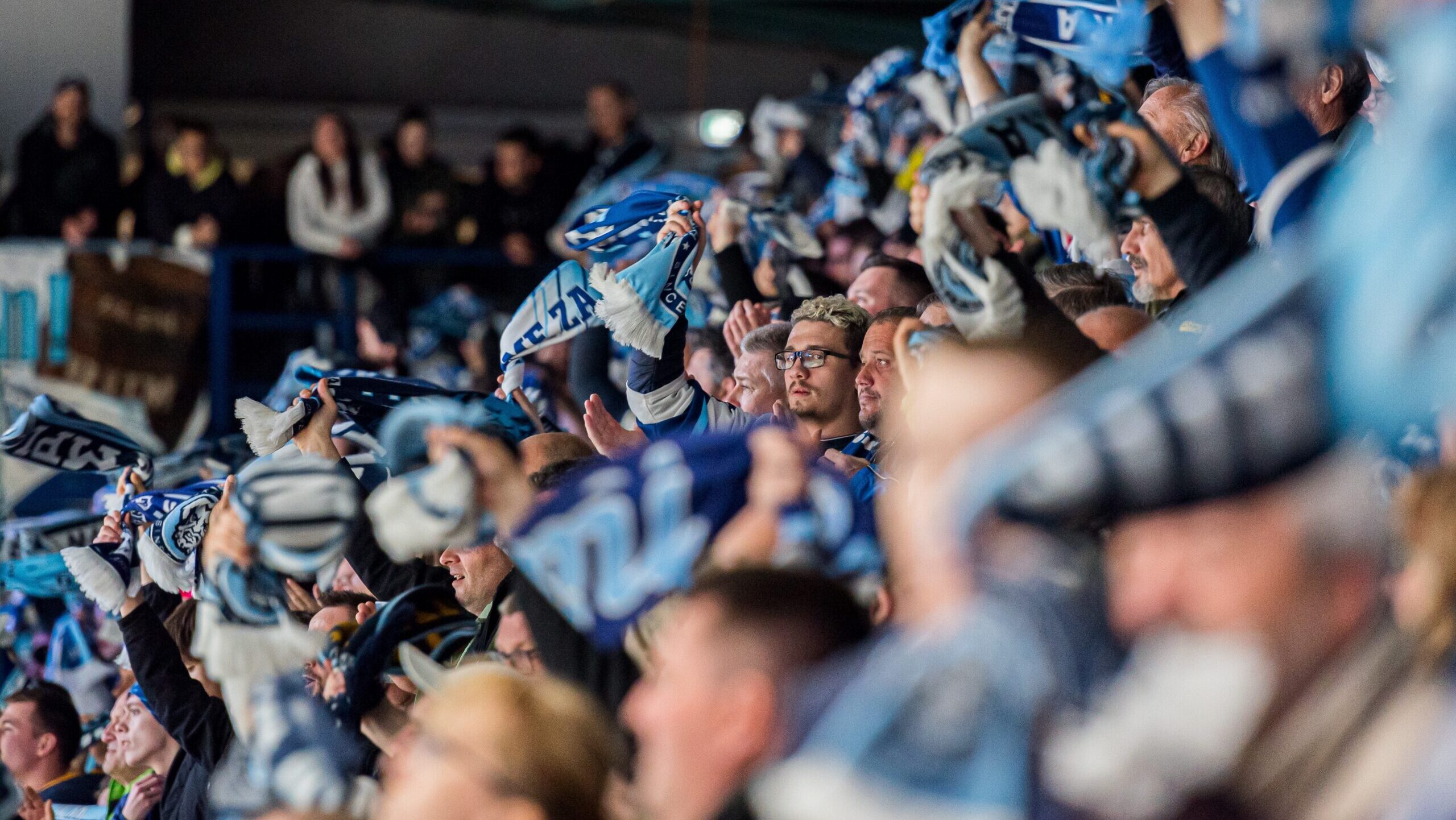 fans